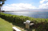 Lauloa31