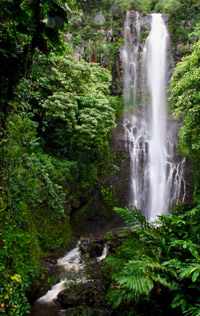 maui photo
